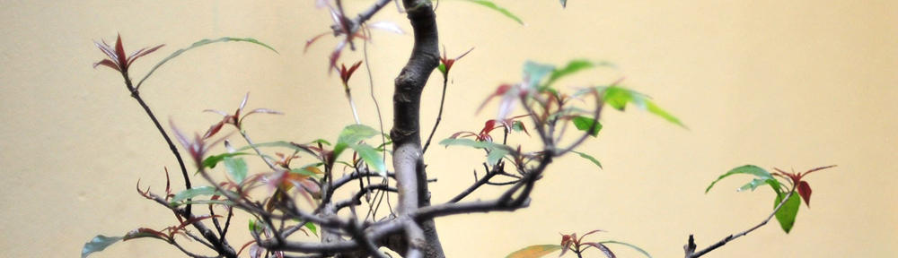 Vernon's Excellent Blog